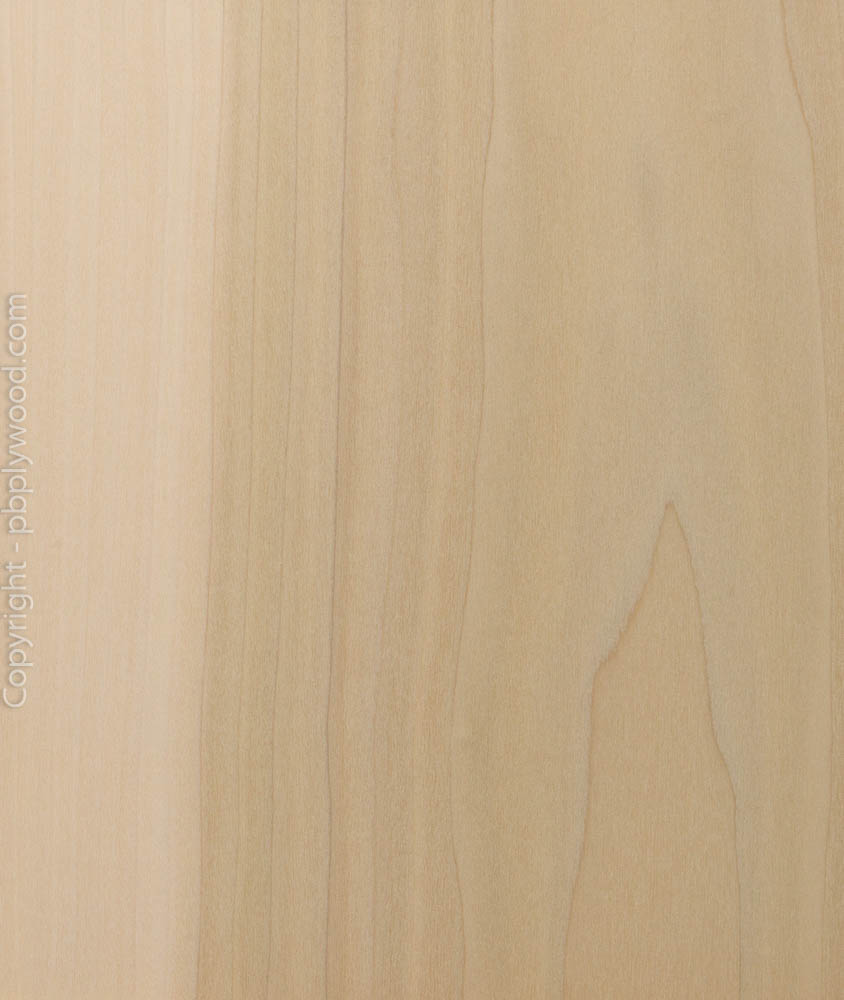 Poplar US Veneered Birch Plywood Peter Benson Plywood Ltd